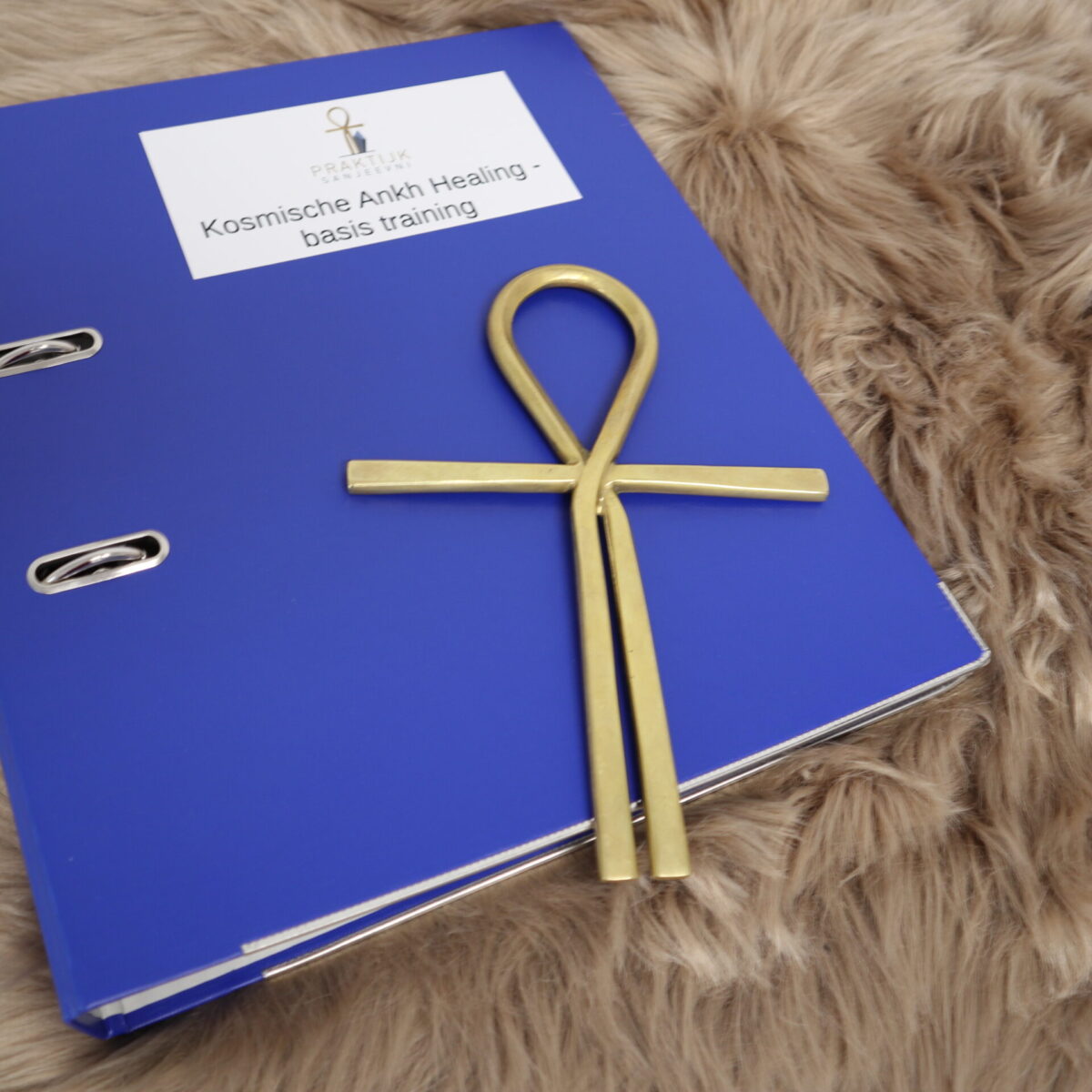 kosmische ankh -ankh healing, training, cursus, opleiding in Niverdal bij Miranda Brookman van Praktijk sanjeevni