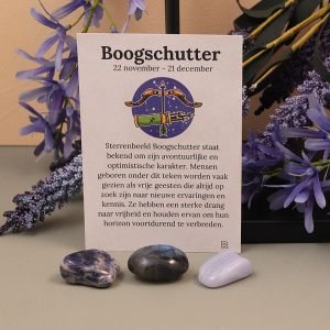 Boogschutter sterrebeeld set