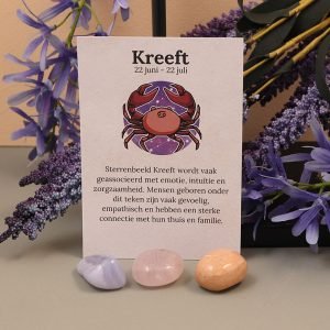 Kreeft sterrebeeld set