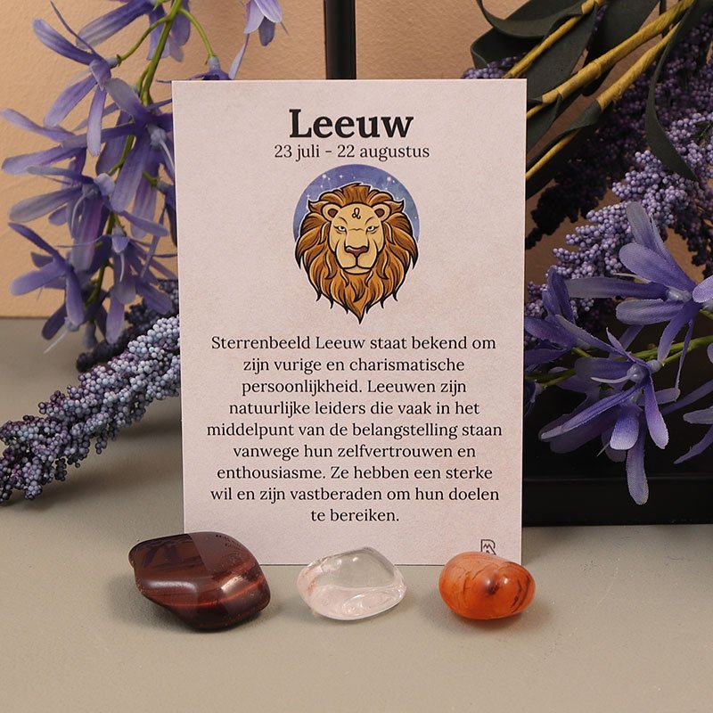 Leeuw sterrebeeld set