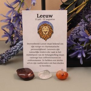 Leeuw sterrebeeld set