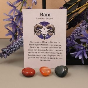 Ram sterrebeeld set