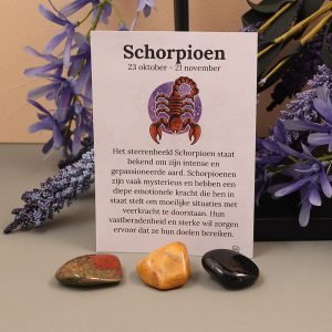 Scorpioen sterrebeeld set