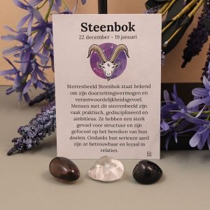 Steenbok sterrebeeld set