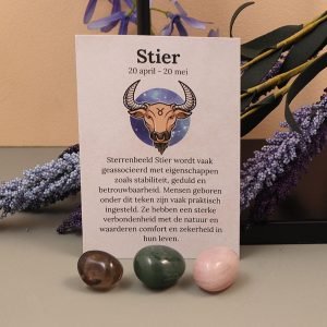 Stier sterrebeeld set