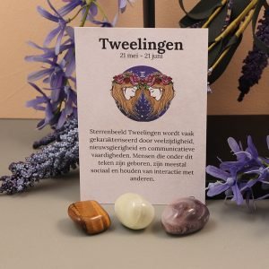 Tweelingen sterrebeeld set