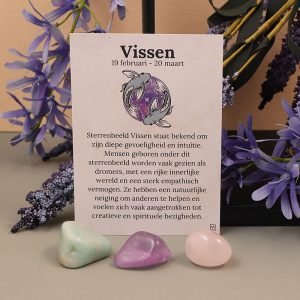 Vissen sterrebeeld set