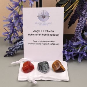 Angst en fobieën