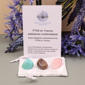 PTSS en Trauma