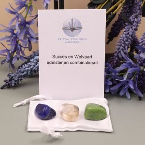 Succes en Welvaart