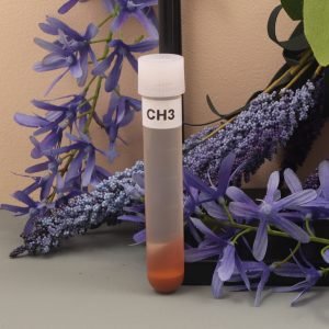 CH3
