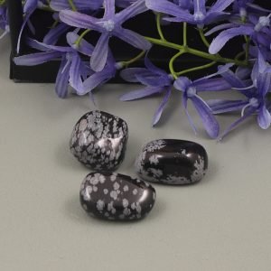Sneeuwvlok Obsidiaan