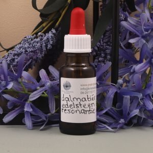 Dalmatier Jaspis elixer