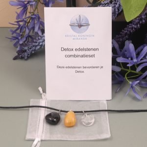 Detox hangers