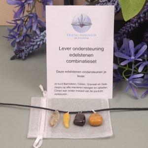 Lever ondersteuning hangers