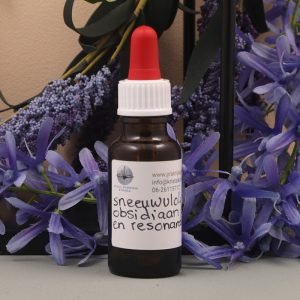 Sneeuwvlok obsidiaan elixer