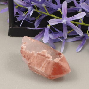 Lemurische tangerine sugarblade