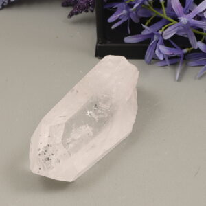 Lemurisch Medusa en venster kristal 283 gram